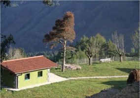 Matxonea - Pueblo Leiza/leitza (Navarra)